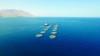 Blue economy to drive diversification in Al Wusta