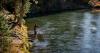Nearly 460 miles of rivers in Colorado under fishing restrictions as a result of heat and drought
