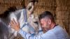Exclusive: Texas animal hospital to be first in U.S. just for donkeys