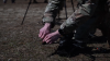 Battle-Tested in Russia's War: Ukraine Ships Combat Drones to Pentagon