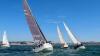 Portugal’s historic sailing race returns after 23 years