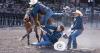 Feel each second tick at CFD's wild horse race