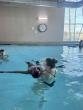 Alabama swimmer claims first place, nets $10k in SEC Startup Competition