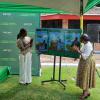 Green economy can drive jobs and exports, Stratcomm Africa says 