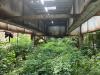 Today In Culture, Thursday, July 23, 2026: Chicago Gourmet Returns | MHub Plans Campus | Jessica Morgan Named Tate Director