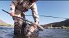 Heat, low water levels disrupt trout stocking in New Mexico