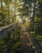 Plan Two Must-See Places in Minnesota for Fall Colors & Hiking