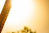 A First-of-Its-Kind Global Study Links Prolonged Heat Waves to Sharply Higher Mental Health Hospitalizations