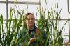 New GRDC nitrogen research could deliver future crop options