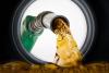 Fuel price shocker for South Africa’s motorists in August 2026