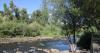 Yampa River closure impacts Steamboat Springs businesses