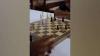 Belmopan mayor launches summer chess camp for youth of the Capital City