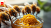 Scientists create a bee superfood that helped colonies produce 15 times more young