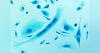 Bringing AI-powered prostate cancer risk stratification to Puerto Rico
