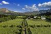 A food and wine enthusiast’s guide to the Western cape of South Africa