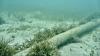 Oregon will start charging service providers for undersea cables using its sea floor — millions accrued over years will go toward state schools