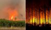 Europe burns as freak 'firenado' scorches French holiday hotspot, tourists flee campsites and Spain battles 'one of its biggest-ever' wildfires in 47C heatwave