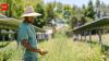 A Colorado farm is growing crops under solar panels, using shade to protect plants from heat while generating clean power and extra income