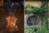 Maine’s Most Magical Cafe is Now Hosting Tavern Nights