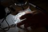 West Nile Virus Deaths Rise in Arizona as 2026 Season Tracks at 5 Times the Historical Baseline
