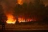 Wildfire Spreads Across 100 Hectares in Netherlands