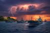 World War E: Why the Energy Crisis Is an Engineered Collapse â and What It Means for Civilization