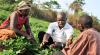 Govt. to modernize agric extension services