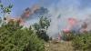 Firefighter dies in Sicily battling one of many wildfires burning in Italy