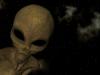 Government prepares for alien disclosure?