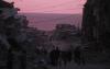 I Thought I Knew Gaza. Then I Went Back.