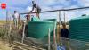 A rural Chile community struggling with drought restored its water supply by protecting a watershed, planting native trees and rebuilding the soil that holds rain