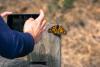 Everyday Environment Series Returns with Nature-Based Solutions for Home and Community