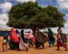 Aid cuts will harm lives and livelihoods in Somalia