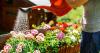 Met Office issues unwelcome rain forecast for gardeners and farmers this weekend