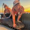 Ahead of ‘Shark Week’: How MSU graduate students are taking a bite out of shark research