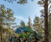cristina iglesias grows luminous northern lights dome from stockholm’s forest bedrock