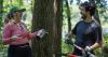 Minneapolis buckthorn singles club uproots invasives, cultivates love