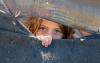 World : 1.4 MillionÂ People In Gaza Expected To Face 'High Levels Of Acute Food Insecurity' By Year-end -Â IPC