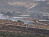 Two Palestinians shot dead by Israeli forces as West Bank fields set ablaze