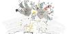 Study on AI and work in the media sector: journalists want more training