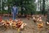 How a million-strong army of animal lovers has achieved a major breakthrough – Philip Lymbery