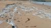 Environmental impact explained as over 1 billion plastic 'nurdles' pollute the North East coastline
