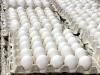 DR resumes egg exports to Cuba with shipment of 3.9 million units