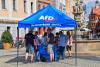 AfD Opens Record 8.5-Point Lead Over Merz’s Governing Conservatives in Germany