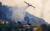 Arsonists set fire to cats to start Italian wildfires