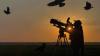 BBC takes off with Hamza’s African Birds of Prey