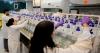Biotech is back, baby! A wave of life science deals is pumping cash into the sector.