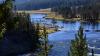 Yellowstone's Global Legacy: How one national park reshaped conservation