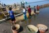 Ocean economy’s share in GDP slips to 4-year low