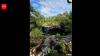 Divers discover possible ancient woman's skeleton deep inside Mexico's Cenote Yaakun